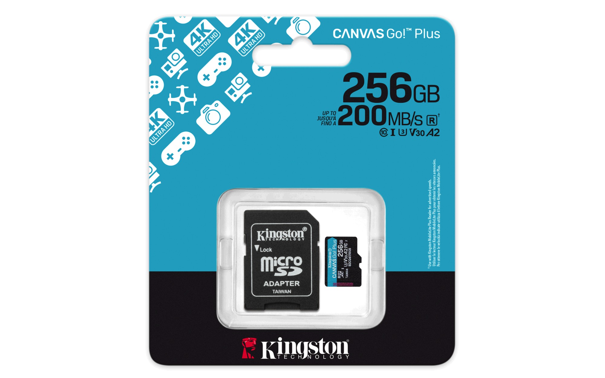 Kingston Flash Canvas Go! Plus 256 GB (gen4)