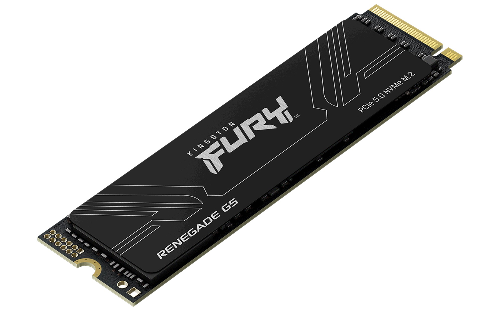 Kingston M.2 SSD FURY Renegade G5, 2TB