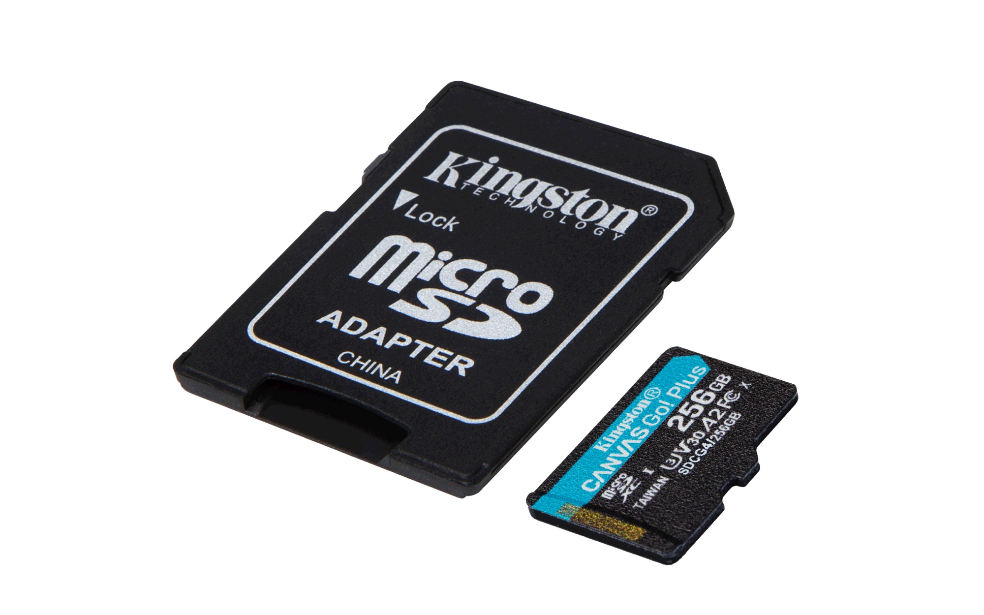 Kingston Flash Canvas Go! Plus 256 GB (gen4)